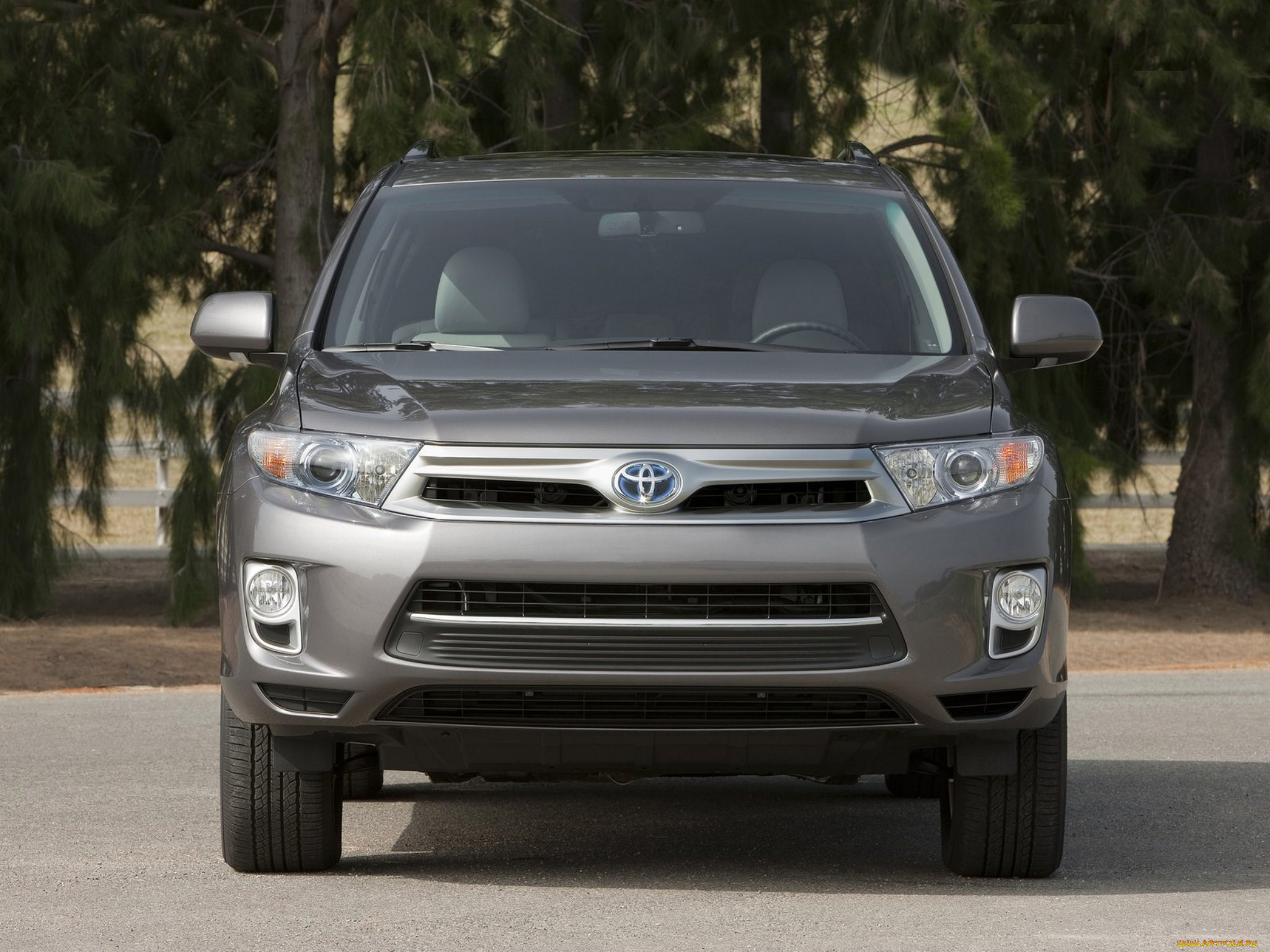 , toyota